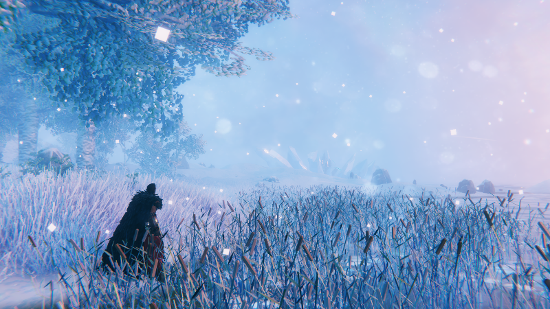 Word From the Devs: It’s Freezing!
