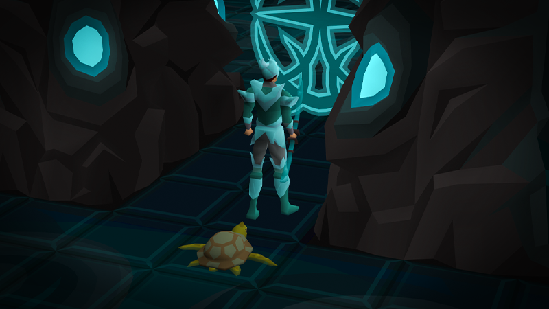 Summer Sweep Up - Pet Changes